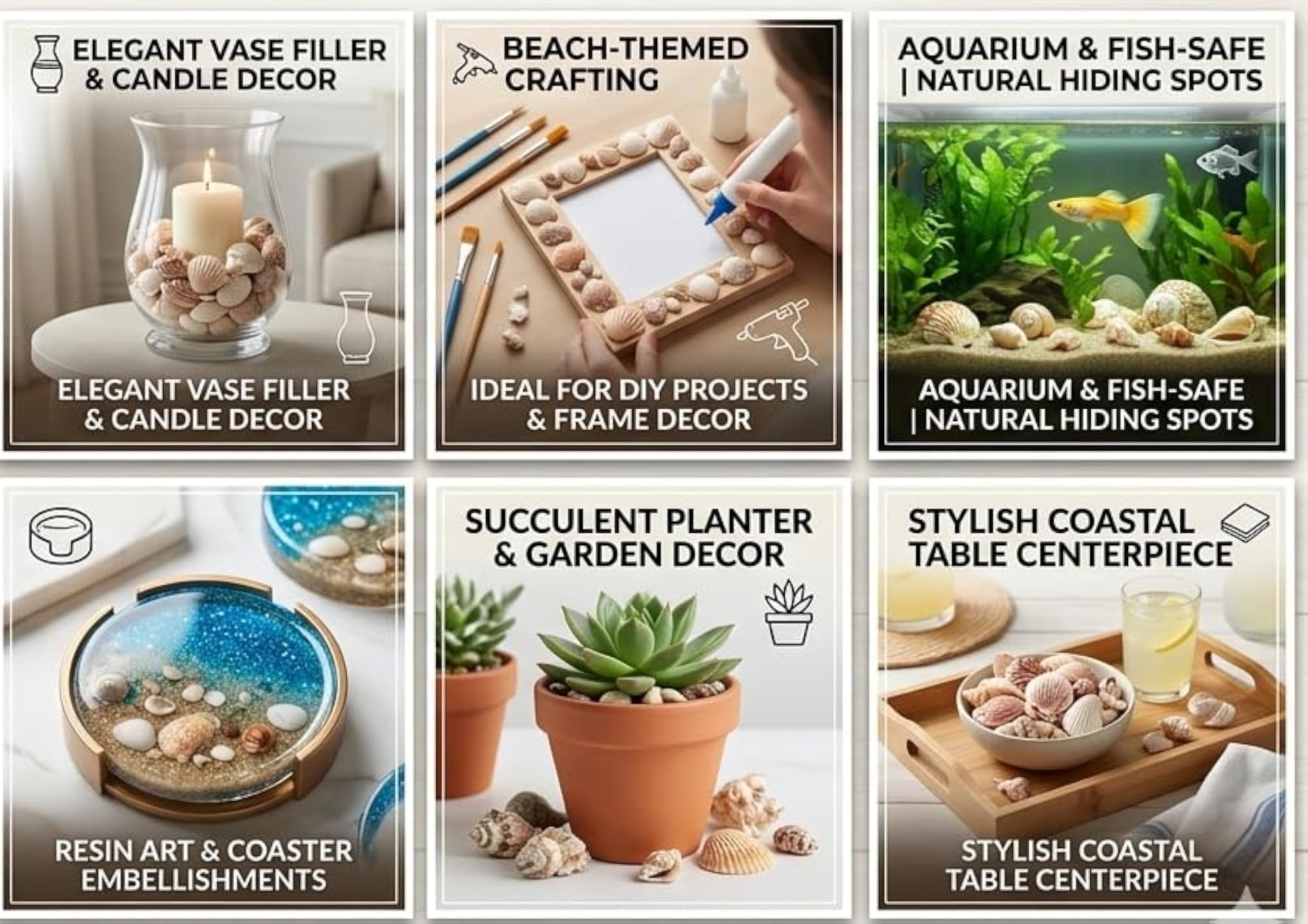 Mixed Sea Shells for Aquarium and Crafts